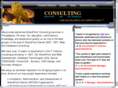 consultinglion.com