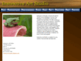 instinctiveartstudio.com