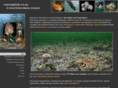 marinephoto.co.uk