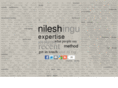 nileshhingu.com