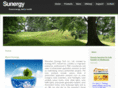 sunergycn.com