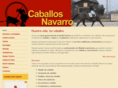 caballosnavarro.com