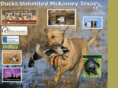 mckinneyducks.org