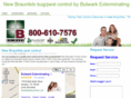 newbraunfelspestcontrol.com