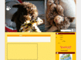 toy-poodle.jp