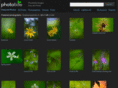 phototide.com