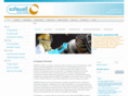safewellsolutions.com
