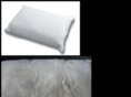 soiledpillows.com