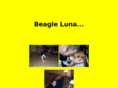 beagle-luna.net