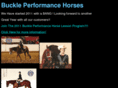 buckleperformancehorses.com