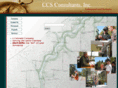 ccsconsultantsinc.com
