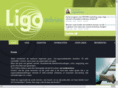 ligo-advies.com