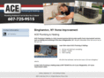 aceplumbingandheatingny.com