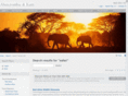 ak-safari.com