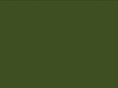 mojitochat.net