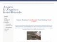trend4brands.com