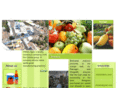 chitaleagro.com