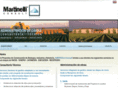 martinelliconsult.com