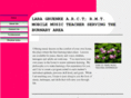 musiclessonswithlara.com