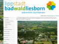 bad-waldliesborn.com