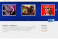 lanneskogdesign.com