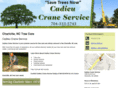 cadieutreeexperts.com