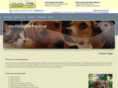 pet4fun.com