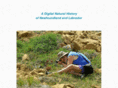 digitalnaturalhistory.com