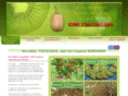 kiwi-tsechelidis.com