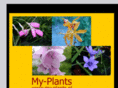 my-plants.com