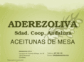 aderezoliva.com