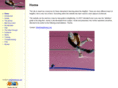 dragflicking.com