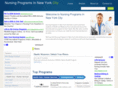 nursingprogramsinnewyorkcity.com