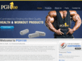 pgh100.com