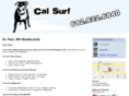 skateboardsstpaul.com
