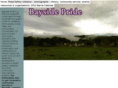 baysidepride.org