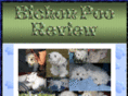 bichonpooreview.com