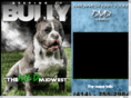 keepinitbully.com