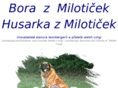 borazmiloticek.net