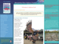 salmonfest.org