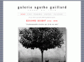 agathegaillard.com