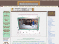 bestetchedmirrors.com
