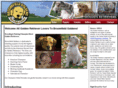 broomfieldgoldens.com