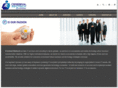 cerebralinfotech.com