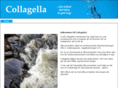 collagella.com