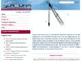 lagunacraneservices.com