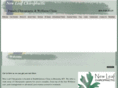 newleafchiromt.com