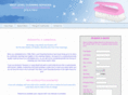 nextlevelcleaningservices.com