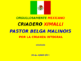 ximalli.com