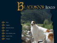 blackmoorkennels.com